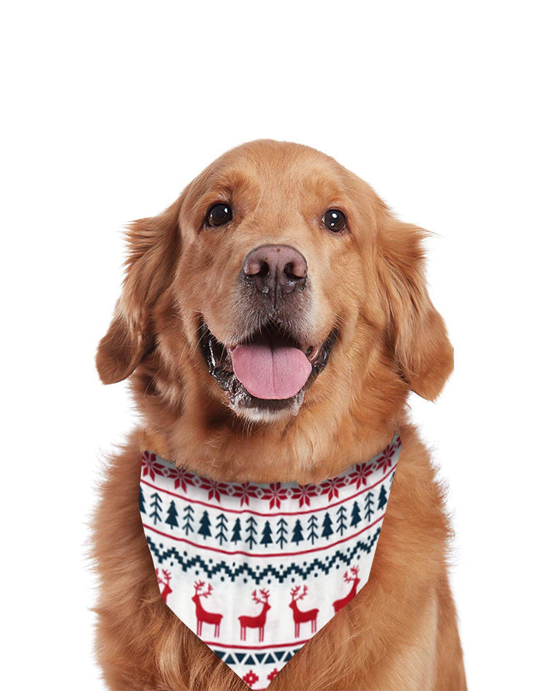 Snug Snowflakes-Family Matching Christmas Pajamas